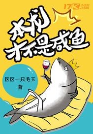 �����Ų�������