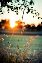 �����һ�ɽ���ļ�