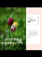 ��Ϊ�㰮�ң��ҽ��ж���������