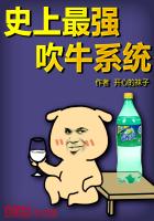 ʷ����ǿ��ţϵͳ