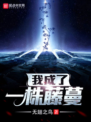 �ҳ���һ������