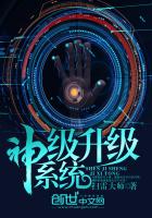 ������ϵͳ