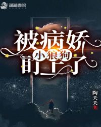 ������С�ǹ�������